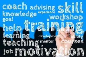 Mentor Coach Consultant article cover