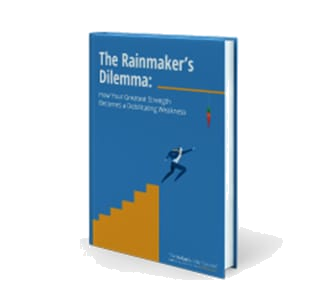 THE RAINMAKER'S DILEMMA - ספר עסקי